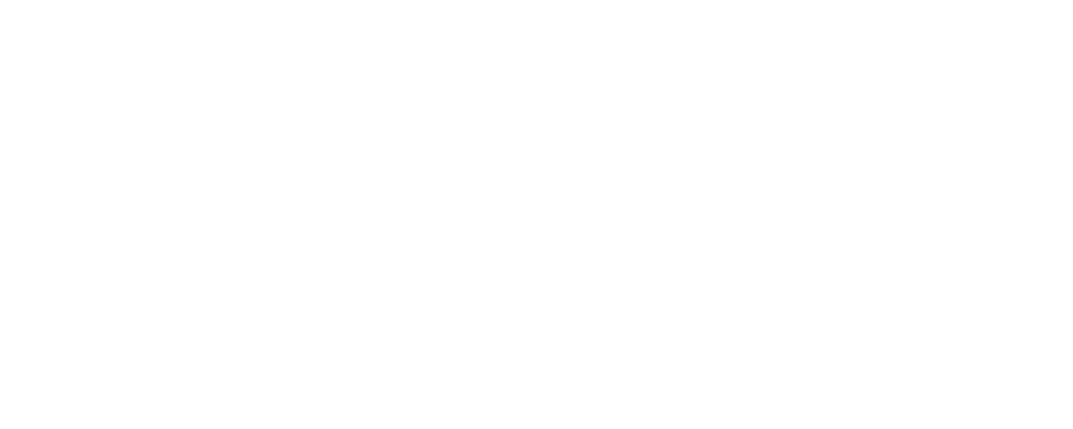 Burning Man Project
